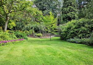 Optimiser l'expérience du jardin à Marimbault